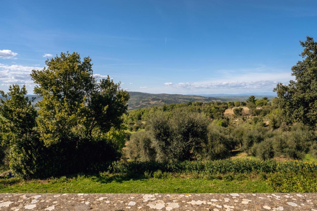 Podere Montale Il Borgo Seggiano Eksteriør billede
