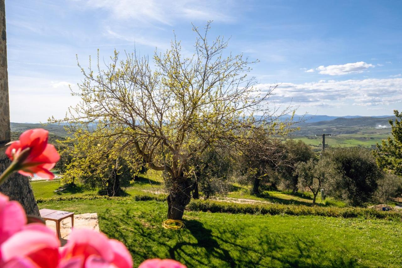 Podere Montale Il Borgo Seggiano Eksteriør billede